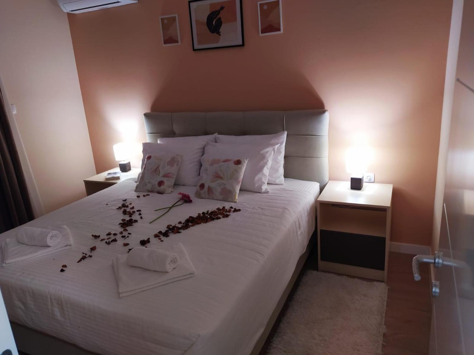 Pine 1 Apartment In The Center 特雷比涅 外观 照片