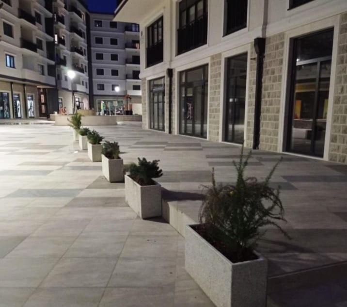 Pine 1 Apartment In The Center 特雷比涅 外观 照片