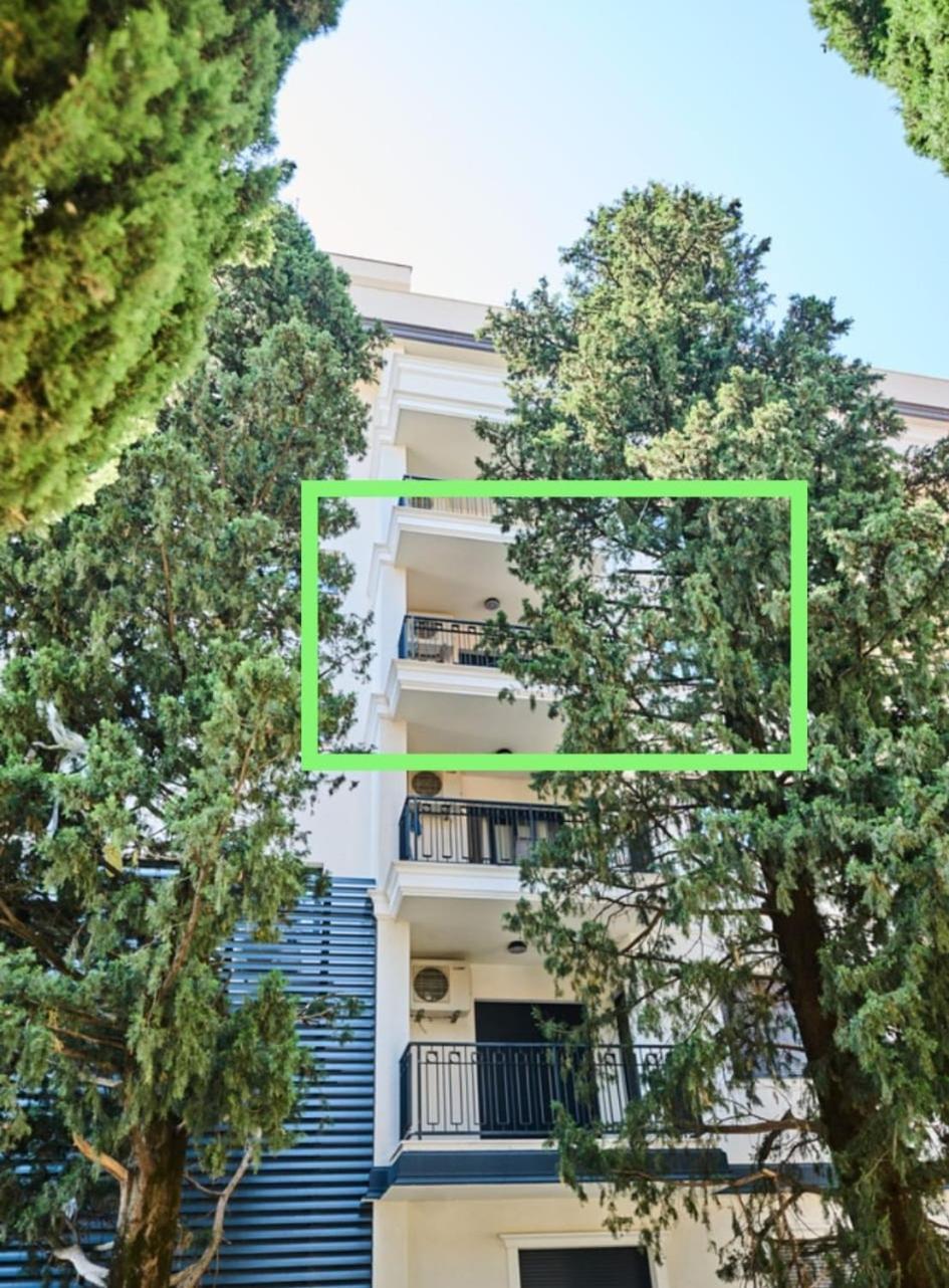 Pine 1 Apartment In The Center 特雷比涅 外观 照片
